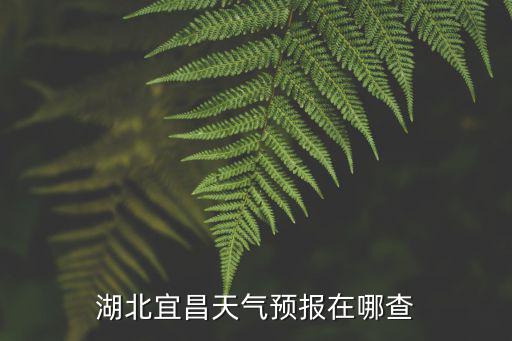 湖北宜昌天氣預報在哪查