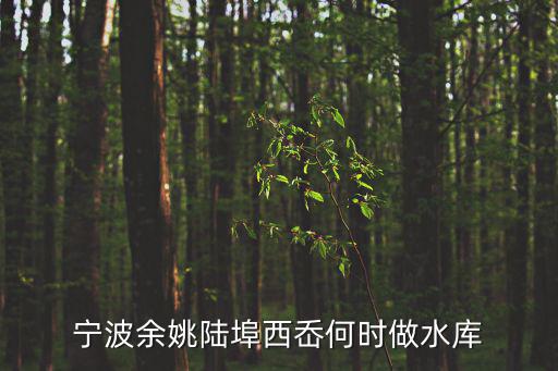 陸埠水庫，余姚陸埠的恒湖嶺水庫在哪哪個村xiexie