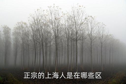 正宗的上海人是在哪些區