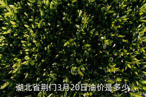 湖北省荊門3月20日油價(jià)是多少