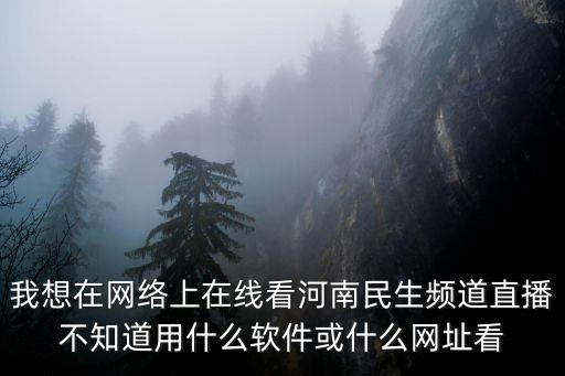 我想在網(wǎng)絡(luò)上在線看河南民生頻道直播不知道用什么軟件或什么網(wǎng)址看