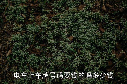 電車上車牌號碼要錢的嗎多少錢