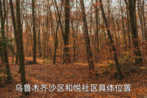 烏魯木齊沙區和悅社區具體位置