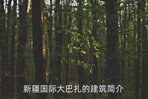 新疆國(guó)際大巴扎的建筑簡(jiǎn)介