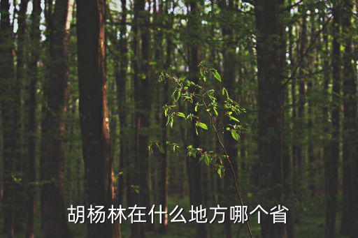 胡楊林在什么地方哪個省