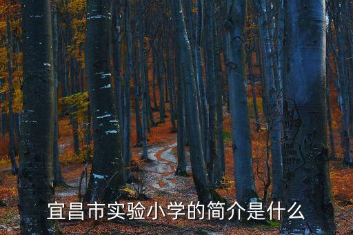 宜昌市實驗小學的簡介是什么