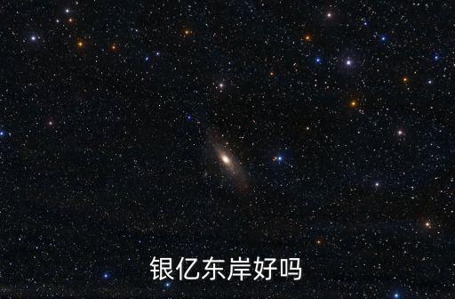 銀億東岸好嗎