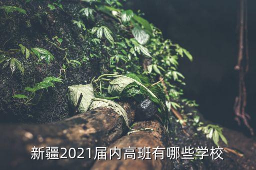 新疆2021屆內高班有哪些學校