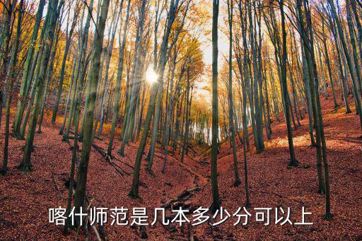 喀什師范是幾本多少分可以上