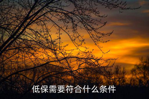 低保需要符合什么條件