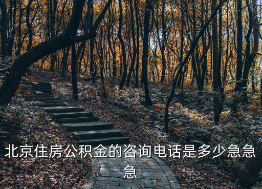 北京住房公積金的咨詢電話是多少急急急