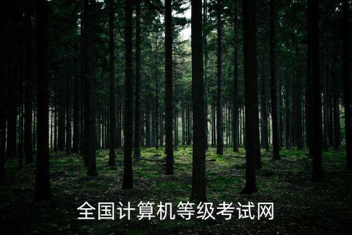 全國計算機等級考試網(wǎng)