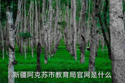 新疆教育官網，新疆教育網的網站是什么