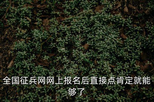 征兵網登錄，全國征兵網網上報名后直接點肯定就能夠了