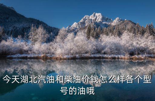 今天湖北汽油和柴油價(jià)錢怎么樣各個(gè)型號(hào)的油哦