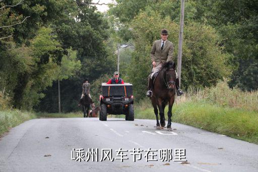 風(fēng)車節(jié)，荷蘭的風(fēng)車日定在每年的幾日