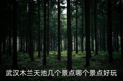 武漢木蘭天池幾個景點哪個景點好玩