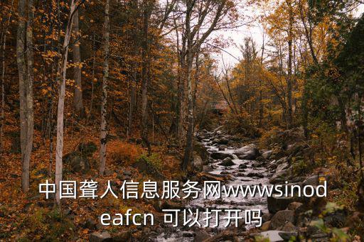 中國聾人信息服務網wwwsinodeafcn 可以打開嗎