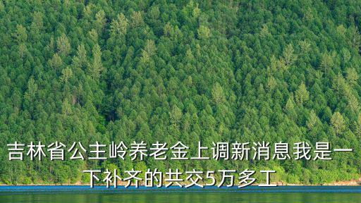 吉林省公主嶺養老金上調新消息我是一下補齊的共交5萬多工