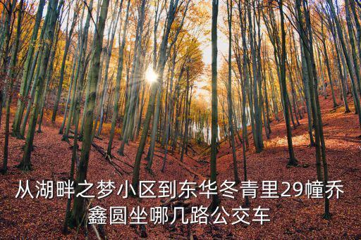 從湖畔之夢小區到東華冬青里29幢喬鑫圓坐哪幾路公交車