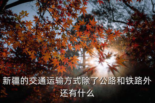 新疆的交通運輸方式除了公路和鐵路外還有什么