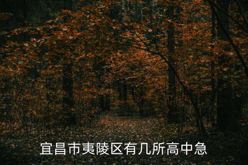 宜昌市夷陵區有幾所高中急