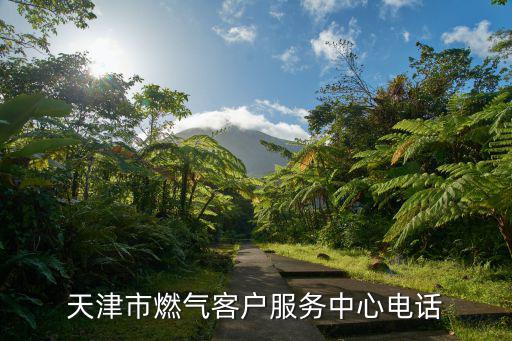 天津市燃氣客戶服務中心電話