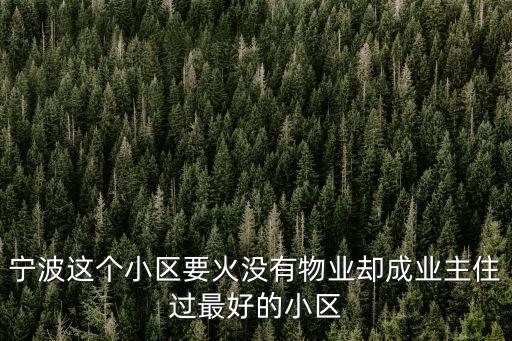 寧波這個小區(qū)要火沒有物業(yè)卻成業(yè)主住過最好的小區(qū)