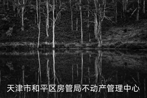 天津市和平區(qū)房管局不動產管理中心