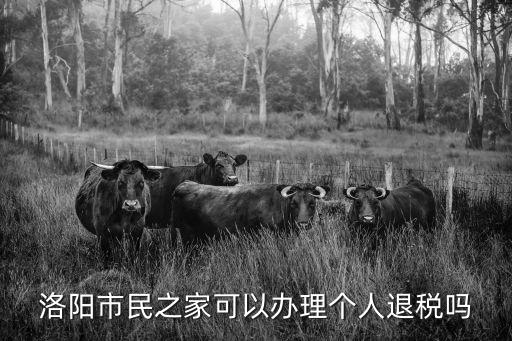 洛陽市民之家可以辦理個人退稅嗎