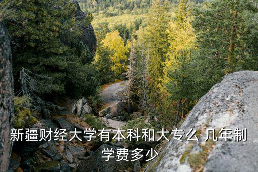 新疆財經大學有本科和大專么 幾年制 學費多少