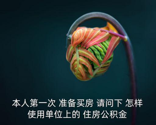 本人第一次 準(zhǔn)備買房 請問下 怎樣使用單位上的 住房公積金