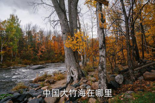 中國大竹海在哪里