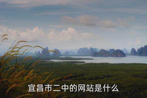 宜昌市二中的網(wǎng)站是什么
