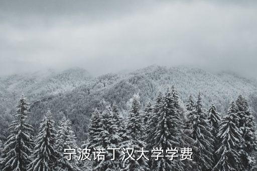 寧波諾丁漢學(xué)費(fèi)，寧波諾丁漢大學(xué)學(xué)費(fèi)太貴
