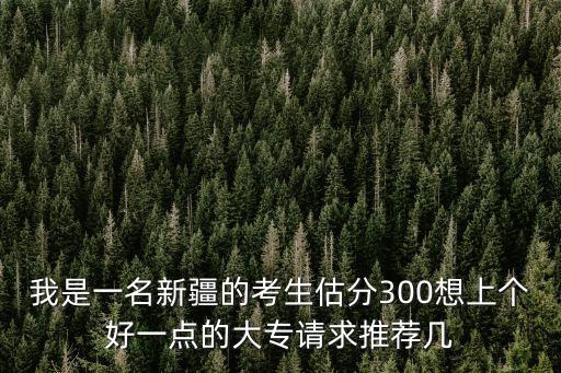我是一名新疆的考生估分300想上個好一點的大專請求推薦幾