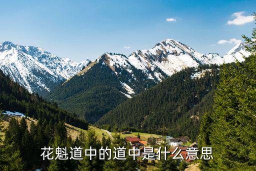 花魁道中的道中是什么意思