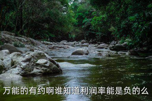 萬步有約，萬能的有約啊誰知道利潤率能是負的么