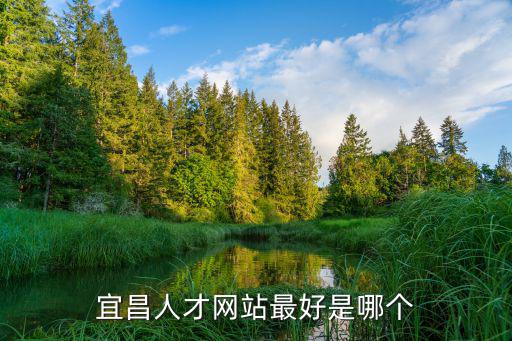 宜昌人才網(wǎng)站最好是哪個
