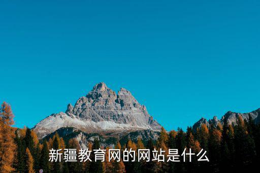 新疆教育網的網站是什么