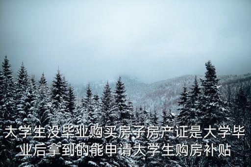 大學生沒畢業購買房子房產證是大學畢業后拿到的能申請大學生購房補貼