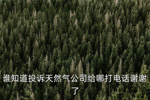 誰知道投訴天然氣公司給哪打電話謝謝了
