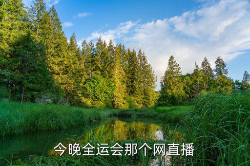 今晚全運(yùn)會那個網(wǎng)直播
