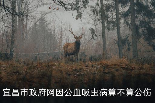 宜昌政府網，湖北省宜昌市