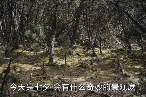 河南衛視七夕奇妙游，今天是七夕 會有什么奇妙的景觀麼