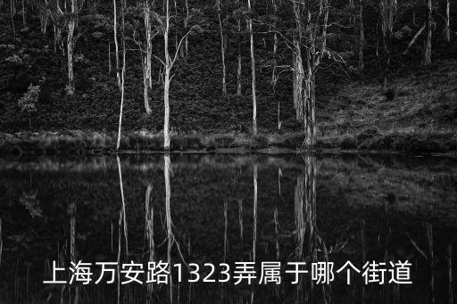 上海萬安路1323弄屬于哪個街道