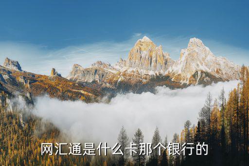 網(wǎng)匯通是什么卡那個銀行的