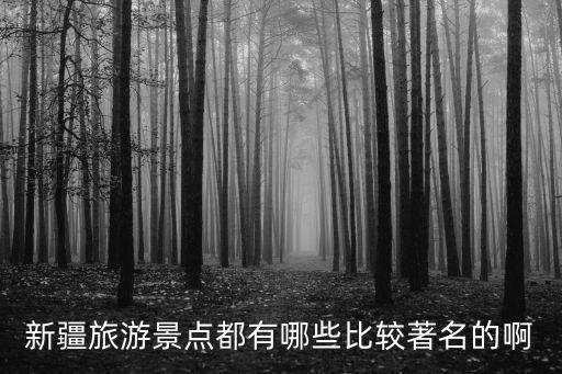 新疆旅游景點(diǎn)都有哪些比較著名的啊