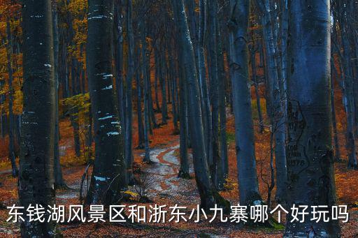 東錢湖風景區和浙東小九寨哪個好玩嗎