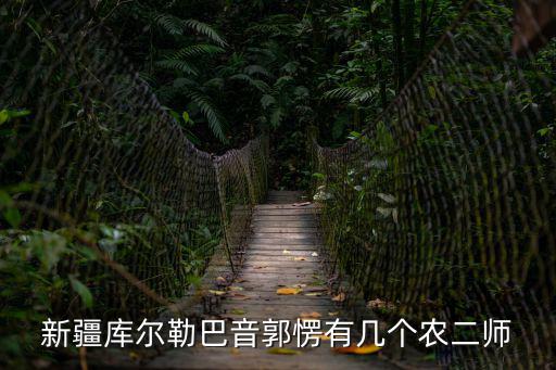 新疆庫爾勒巴音郭愣有幾個農(nóng)二師